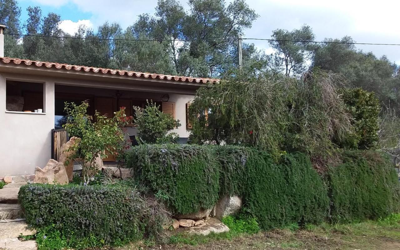 Casa-Lesia Villa Porto-Vecchio  Eksteriør bilde